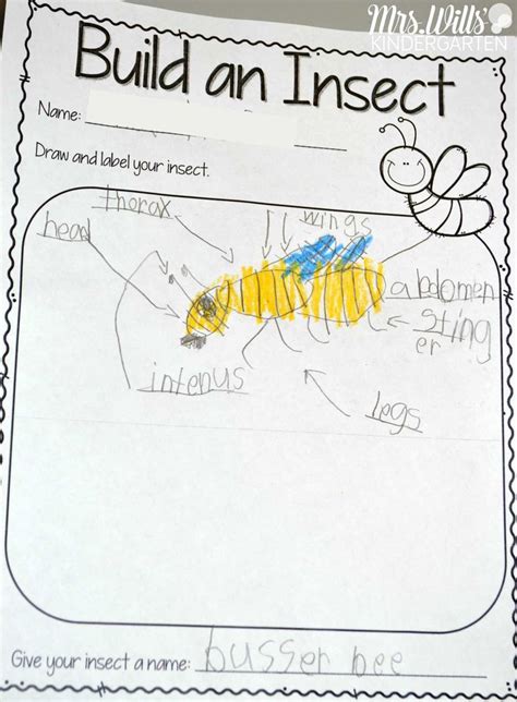 Insect Lesson Plans Kindergarten