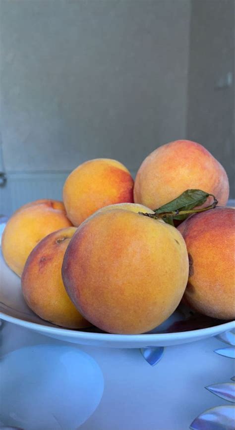 pin by alina butnari on all in 2022 peach food fruit