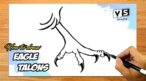 How To Draw Eagle Talons Youtube