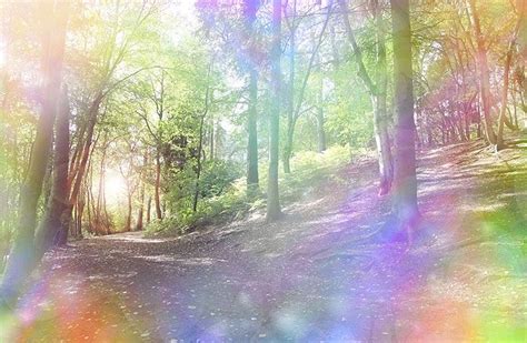 How To See The Aura With Reiki Aura Woodland Bokeh