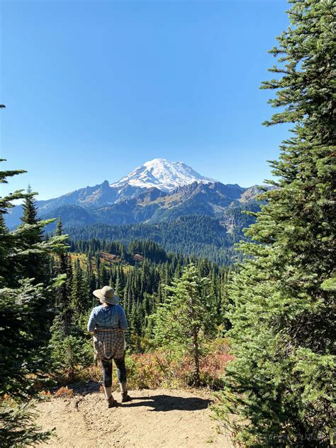 The Ultimate Mount Rainier Day Trip From Seattle 2024 Emerald Palate