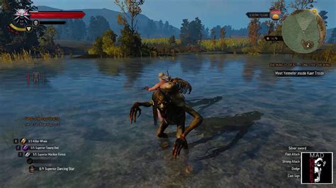 The Witcher 3 Water Hag Glitch Youtube