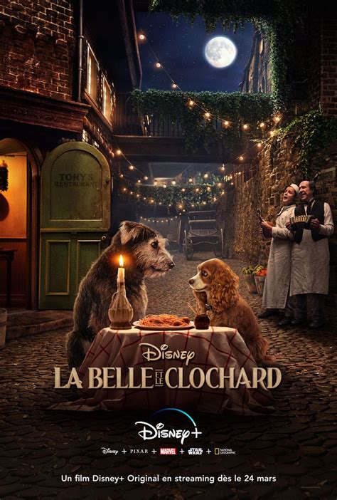 Regarder Film La Belle Et Le Clochard - La Belle et le Clochard - Film 2020 | Cinéhorizons