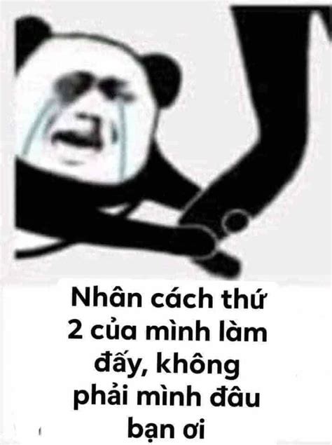 Tổng Hợp Meme Gấu Trúc Weibo Hài Hước độc Bá đạo Eu Vietnam