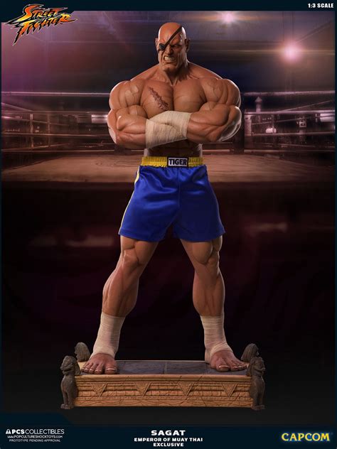 Pcs Collectibles Releasing 1150 13 Scale Sagat The Gonintendo