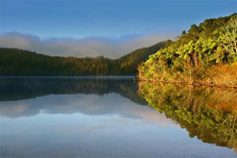 The Top 10 Lake Tikitapu Blue Lake Tours And Tickets 2023 Rotorua