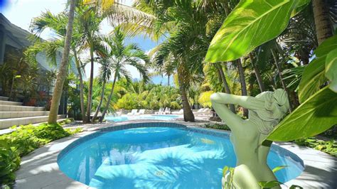 4 Star Clothing Optional Hotel Residence In Saint Martin Sxm Caribbean