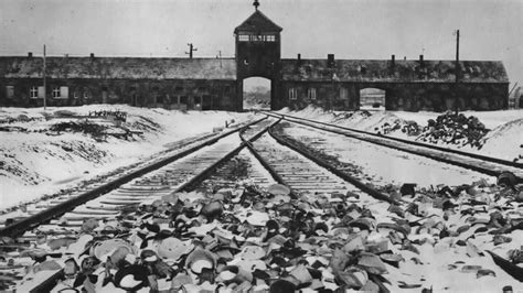 Auschwitz Death Camp Survivor Dies Aged 90 Bbc News