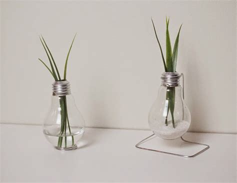 30 Recommended Light Bulb Flower Vase Decorative Vase Ideas