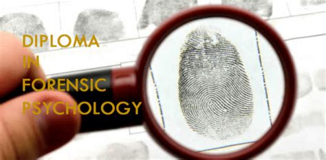 Diploma In Forensic Psychology The Behaviour Institute