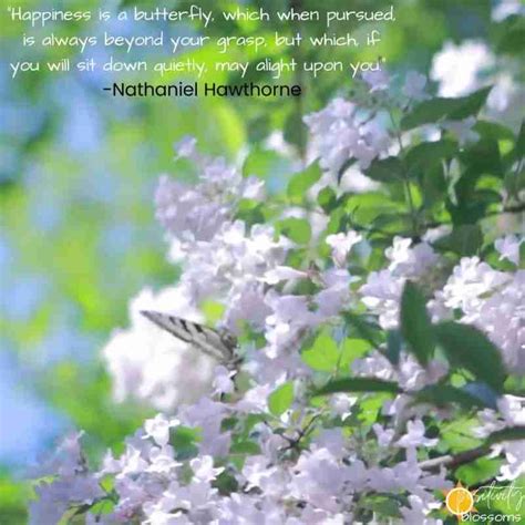 Positive Quote 103 Nathaniel Hawthorne Happiness Is A Butterfly