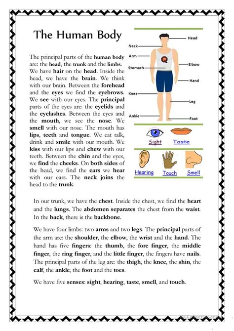 These worksheets are made with the same images of flashcards. The Human Body - English ESL Worksheets for distance ...