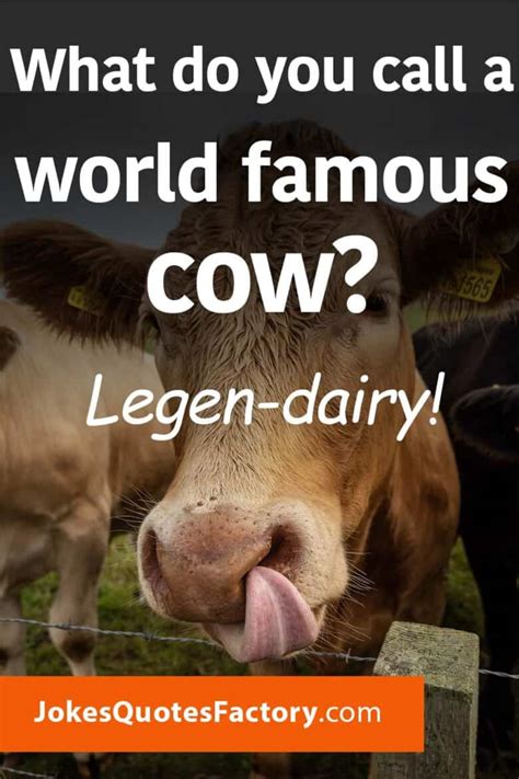 47 Best Cow Jokes For Kids With Dad Jokes And Funny Puns