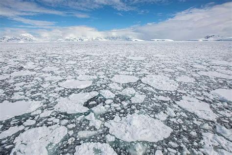 Antarctic Sea Ice Is Declining Dramatically And We Dont Know Why New