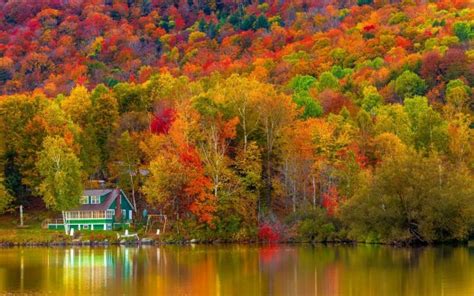 Beautiful Autumn Trees Forest Slope Green House Reflection On Lake Hd