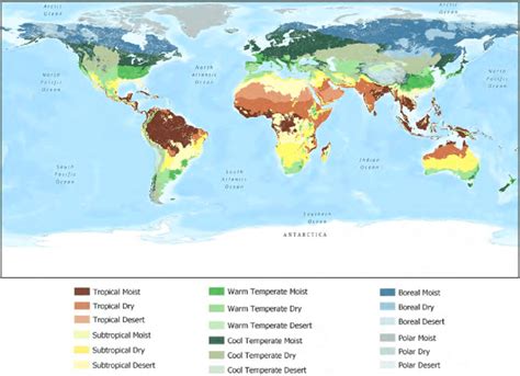 World Climate Zones Map Vector Geographic Infographic