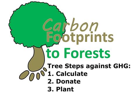 Capturing Carbon At Footprints To Forests