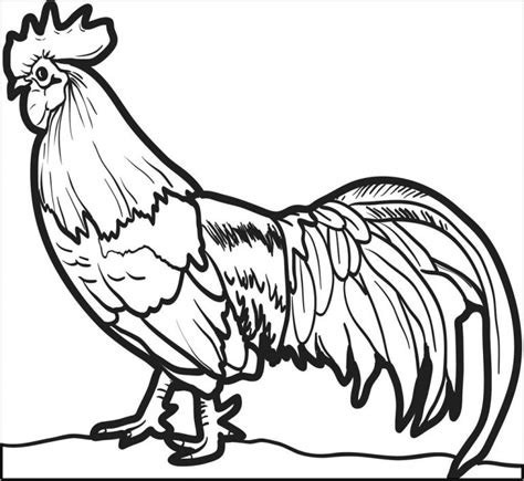 Rooster Coloring Pages Coloringbay