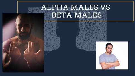 Alpha Males Vs Beta Males Youtube