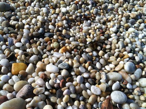Pebbles On The Beach Close Up Free Image Download