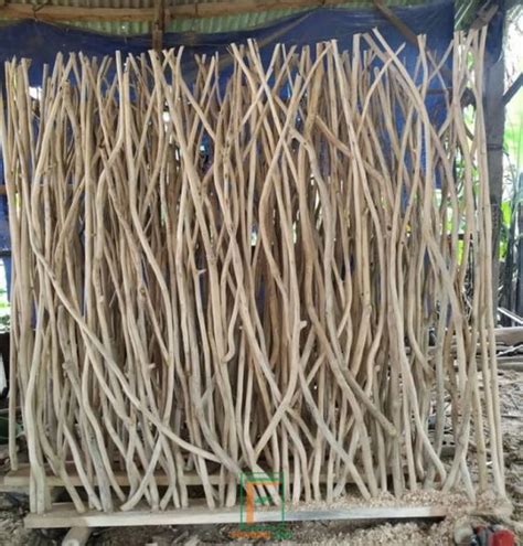 Ranting Kayu In English Gambar Pohon Alam Cabang Arsitektur