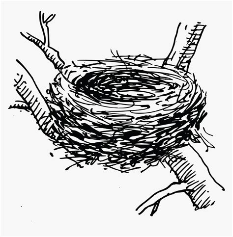 Free Clipart Of A Bird Nest Clip Art Bird Nest Hd Png Download