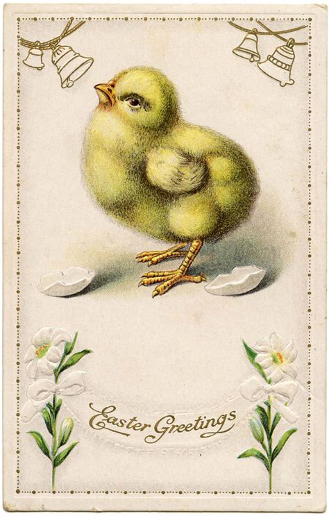 28 Easter Chicks Clipart Images The Graphics Fairy