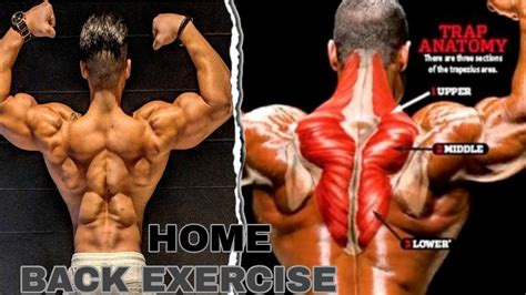 8 Best Back Exercise At Home The Perfect Back Workout Body Fitness