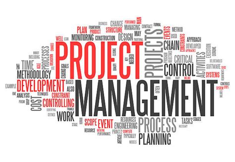 Project Manager Clip Art Vector Images And Illustrations Istock