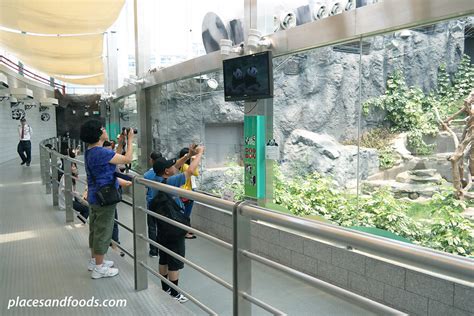 Macau Giant Panda Pavilion