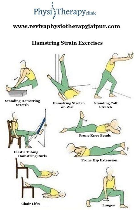Exercise 4 Hamstring Strain Physical Therapy Quotes Physical