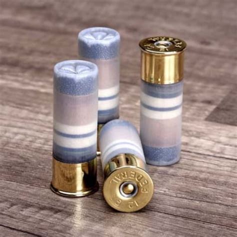 Clean Shot Cleanshot Shoot Through Gun Bore Cleaner 12 Ga 4 Pack