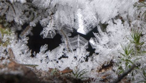 Geolog Ice Crystals