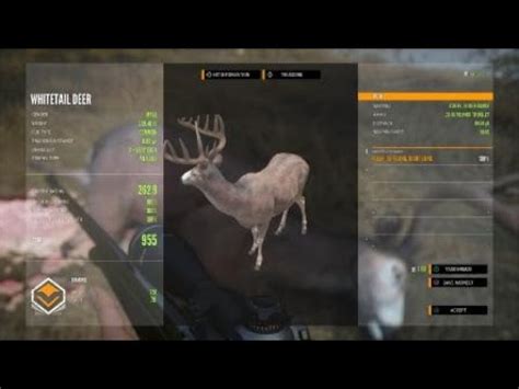 Thehunter Call Of The Wild My First Diamond Whitetail Deer Youtube
