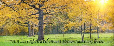 Mount Vernon Sanctuary