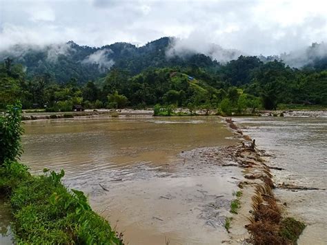 Air Sungai Meluap Puluhan Hektar Sawah Di Pangandaran Mamasa Gagal