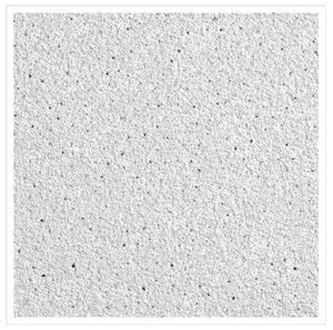 How to install a drop ceiling. Armstrong Dune Second Look-Ceiling Tiles-2712 - Ceiling ...