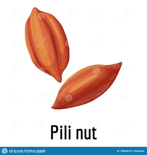 Pili Nut Icon Cartoon Style Stock Vector Illustration Of Healthy