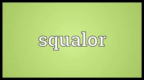 Squalor Meaning Youtube