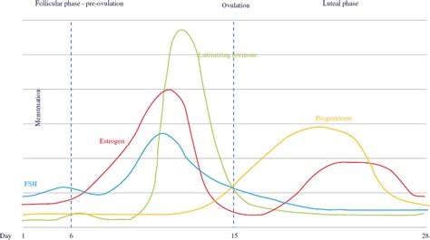 Menstrual Cycle Fluctuations Of Progesterone And The Effect On Sleep