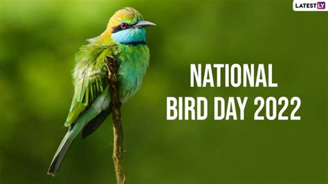 National Bird Day 2022 Wishes Hd Images Quotes And Messages Go Viral