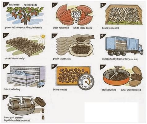 Task 1 Process How Chocolate Is Produced Ielts Taker