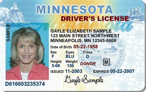 Your First Time Minnesota Drivers License Guide Driving Guide