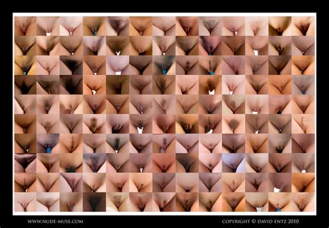 Labia Types Nude Muse Magazine Nude Photography
