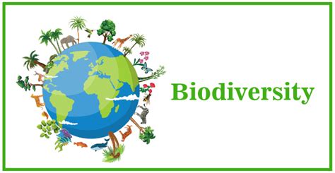 Biodiversity Javatpoint