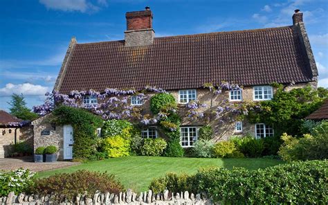 The best climbers for a garden wall or fence. Best 10 climbing plants - David Domoney