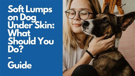 Soft Lumps On Dog Under Skin What Should You Do Guide