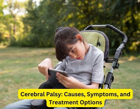Cerebral Palsy Causes Symptoms And Treatment Options