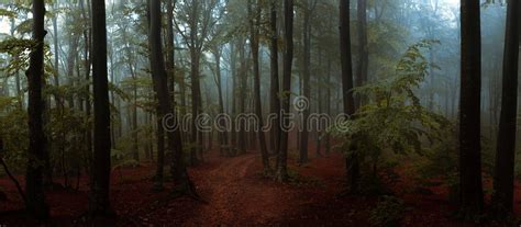 Path In Fairy Tale Landscape Inside Foggy Forest Silhouette Trees In