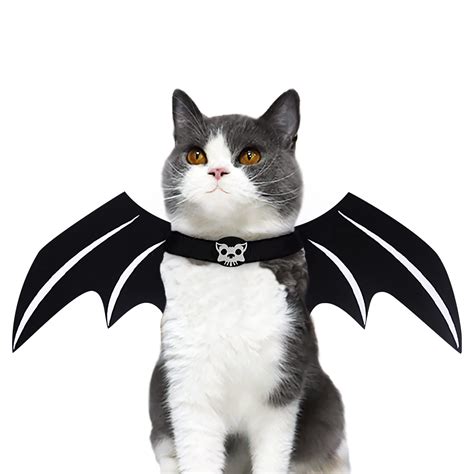 Black Cat With Bat Wings Ubicaciondepersonascdmxgobmx